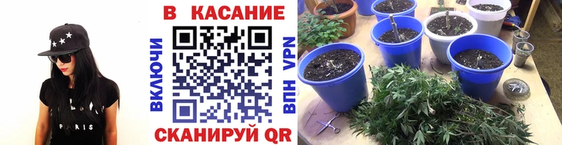 Виды наркотиков купить Биробиджан Канабис COCAIN СОЛЬ ГАШ