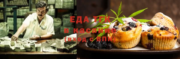 прущие грибы Елизово